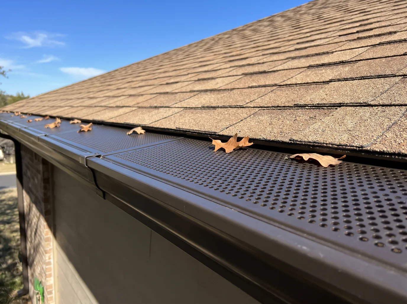 Dark bronze perforated screen guards clipped over a seamless gutter at the edge of a shingle roof